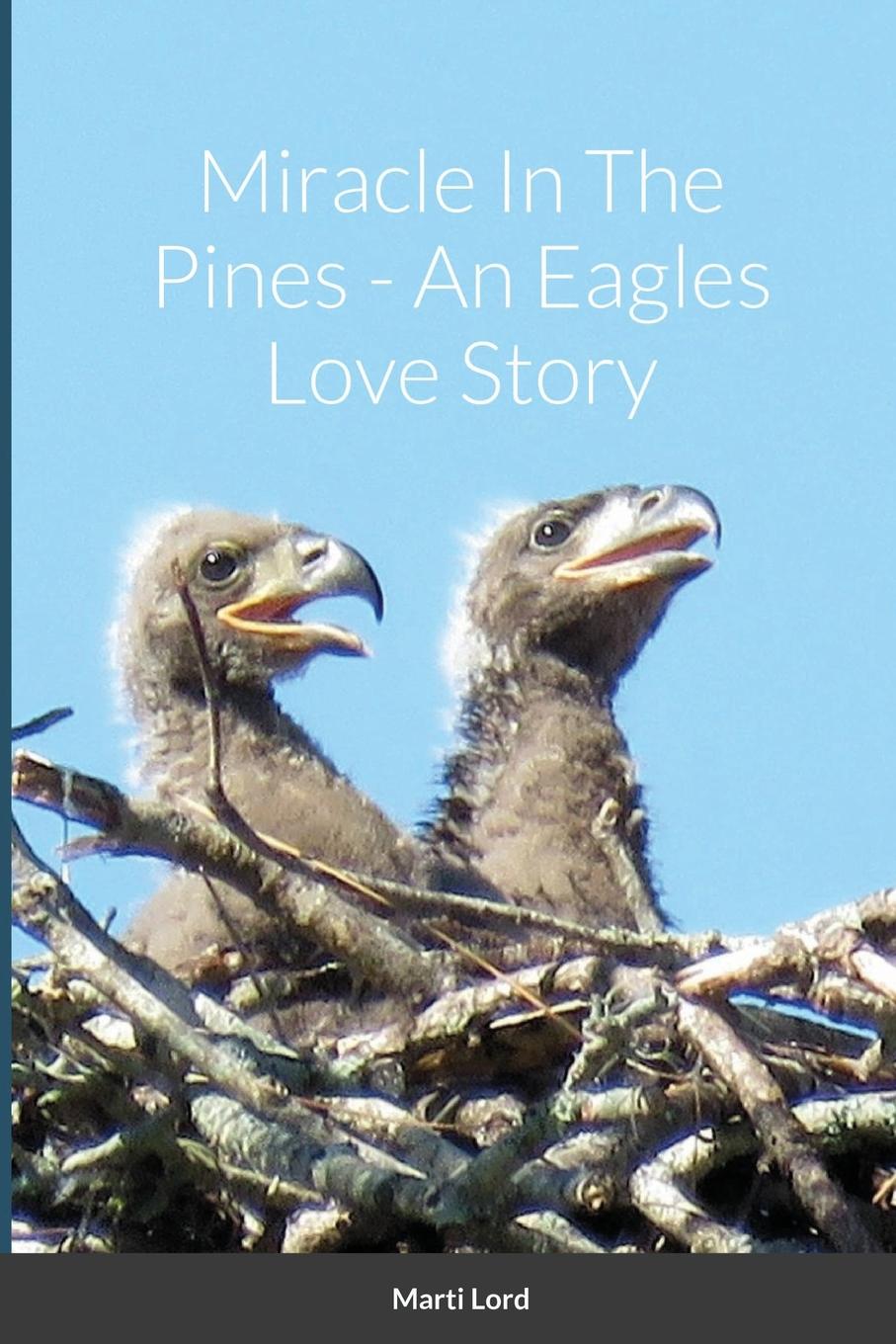 Knjiga Miracle In The Pines - An Eagles Love Story Marti Lord
