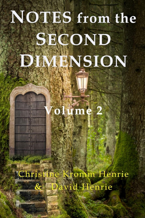 Kniha Notes from the Second Dimension David J Henrie