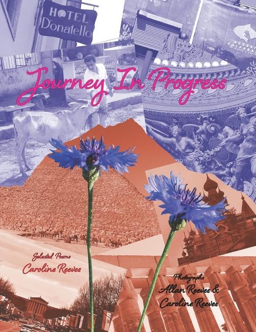 Knjiga Journey In Progress Allan Reeves