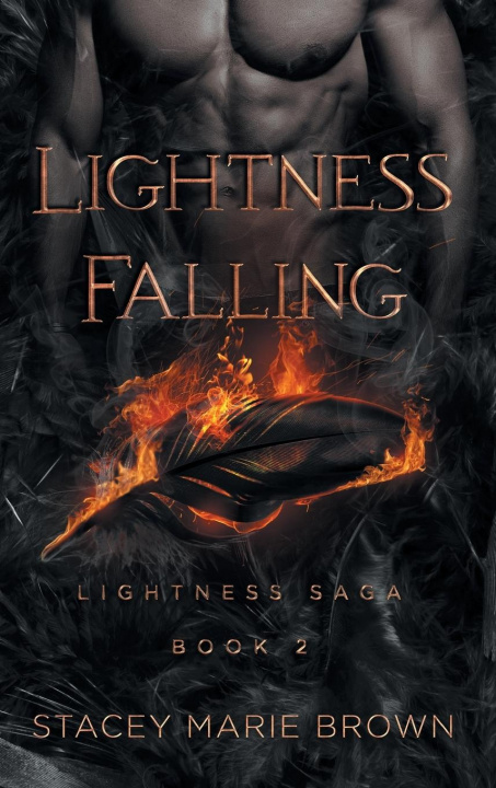 Buch Lightness Falling Stacey Marie Brown