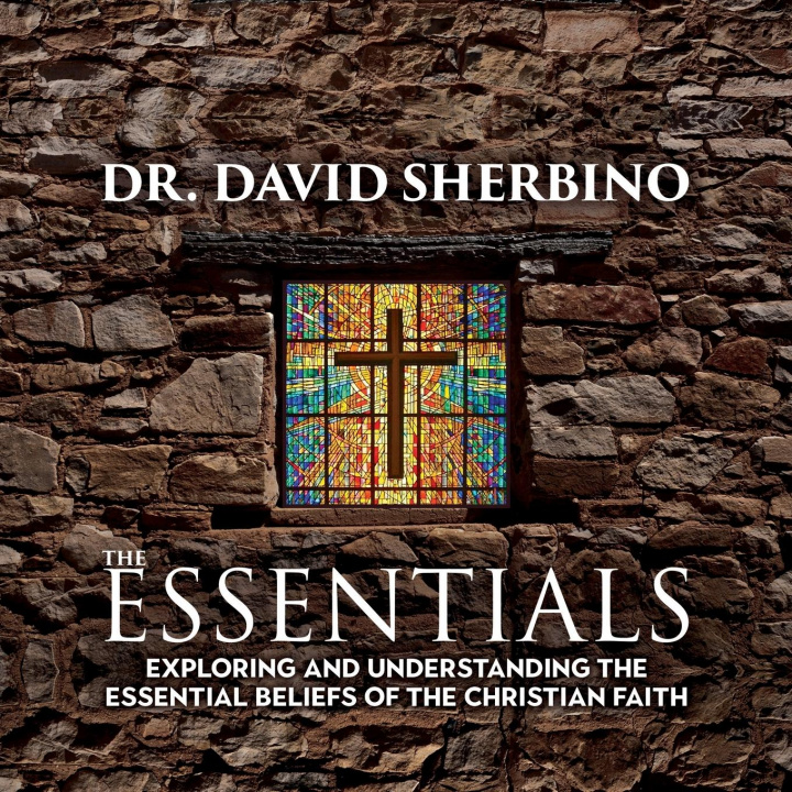 Knjiga Essentials David Sherbino