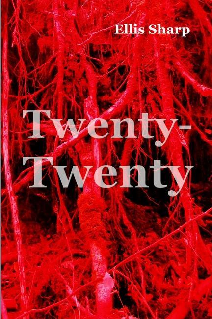 Buch Twenty-Twenty Ellis Sharp