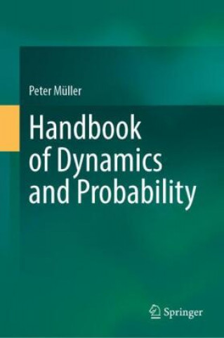 Kniha Handbook of Dynamics and Probability 