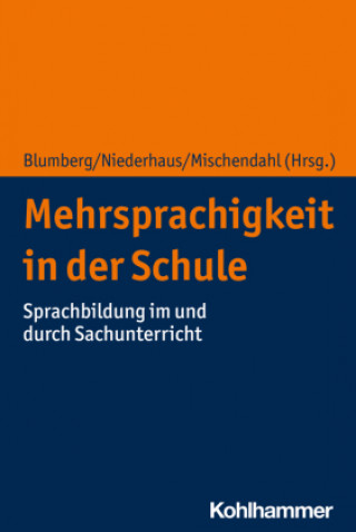 Kniha Mehrsprachigkeit in der Schule Constanze Niederhaus