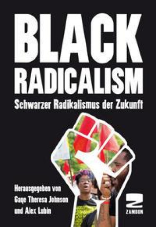 Kniha Black Radicalism Alex Lubin