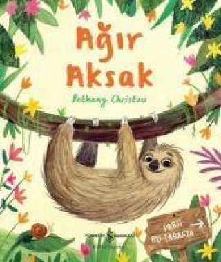 Knjiga Agir Aksak 