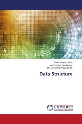 Knjiga Data Structure Amit Kumar Nandanwar