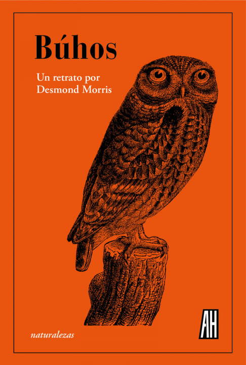 Kniha Búhos DESMOND MORRIS