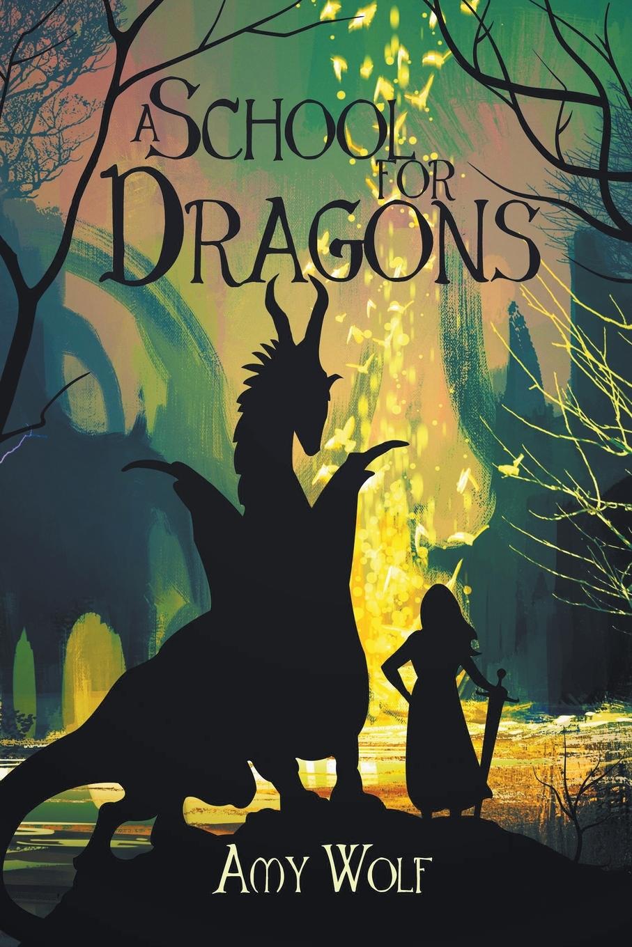 Boek School for Dragons AMY WOLF