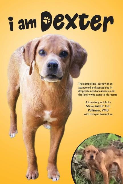 Buch I Am Dexter Dru Pollinger