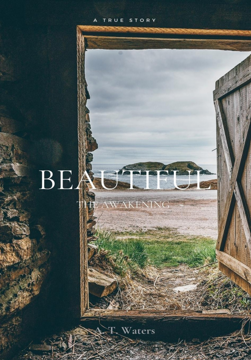 Buch Beautiful A. T. Waters