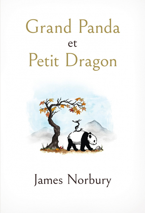 Kniha Grand Panda et Petit Dragon James Norbury