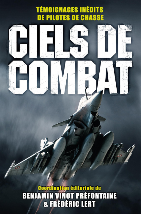 Boek Ciels de combat Vinot Préfontaine