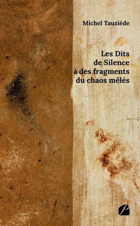 Knjiga Les Dits de Silence à des fragments du chaos mêlés Michel Tauziède