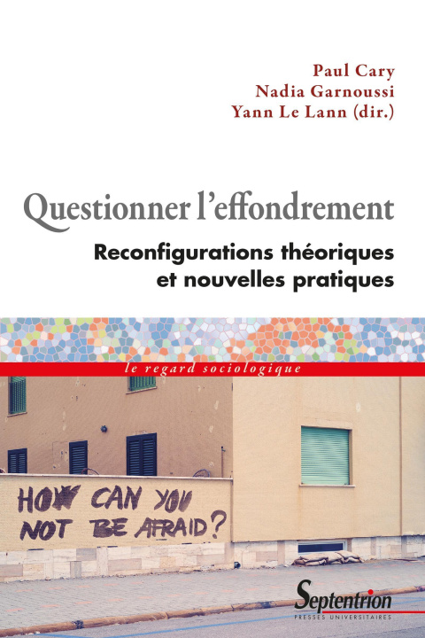 Book Questionner l'effondrement Le Lann