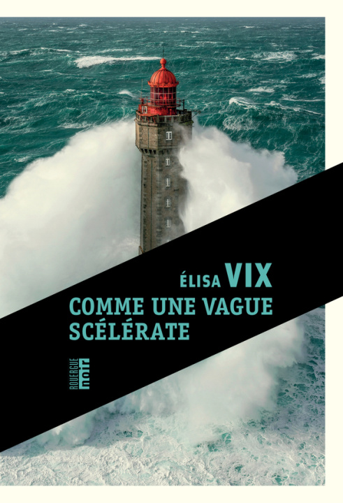 Book Qui voit son sang Vix