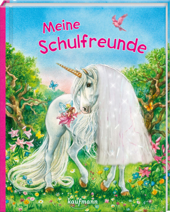 Kniha Meine Schulfreunde 