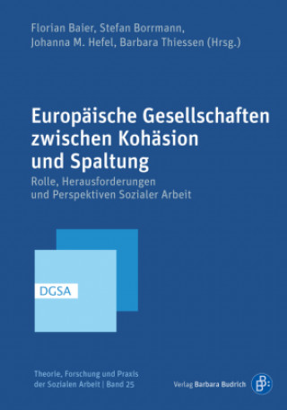 Kniha Europäische Gesellschaften zwischen Kohäsion und Spaltung Stefan Borrmann