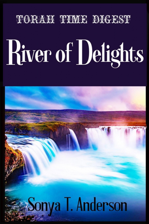 Knjiga Torah Time Digest Sonya T. Anderson