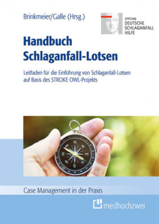 Könyv Handbuch Schlaganfall-Lotsen Silke Bode
