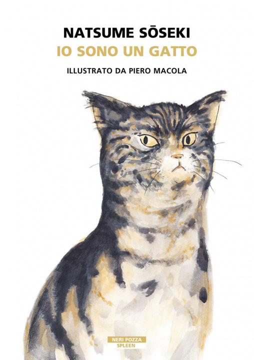 Carte Io sono un gatto Natsume Soseki