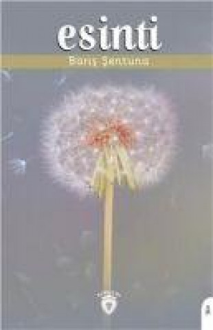 Knjiga Esinti 