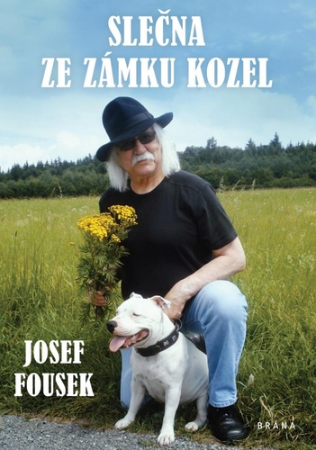 Book Slečna ze zámku Kozel Josef Fousek