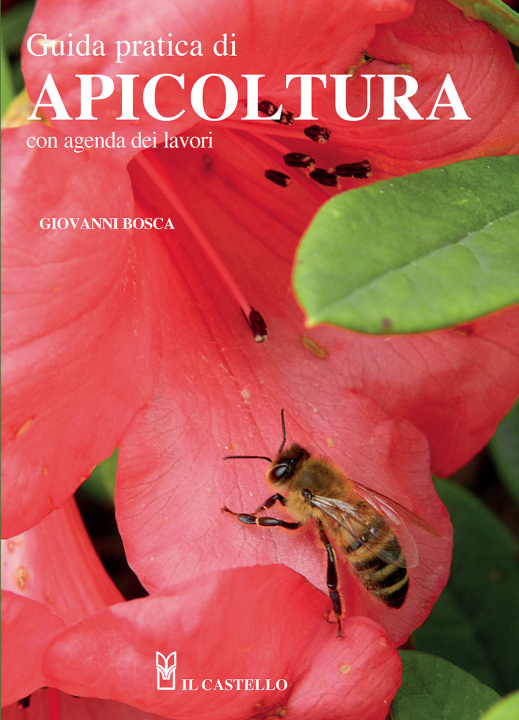 Könyv Guida pratica all'apicoltura Giovanni Bosca