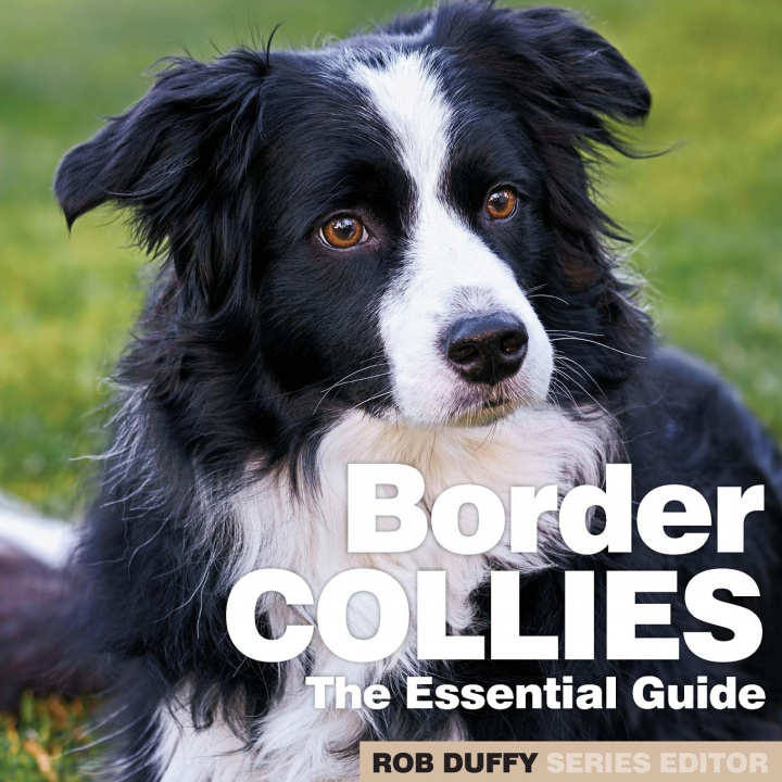 Książka Border Collies 