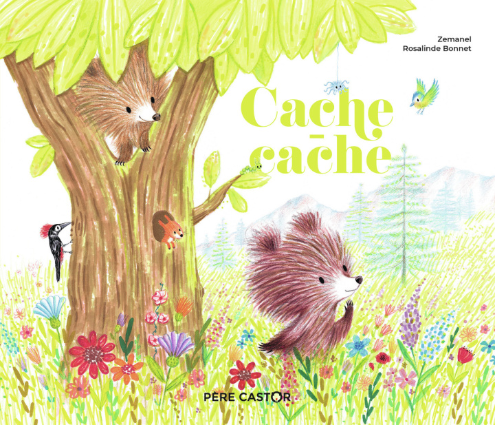 Knjiga Cache-cache ZEMANEL