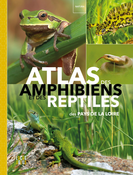Carte Atlas des amphibiens et reptiles 