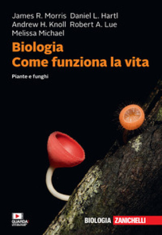 Kniha Biologia. Come funziona la vita. Piante e funghi James R. Morris