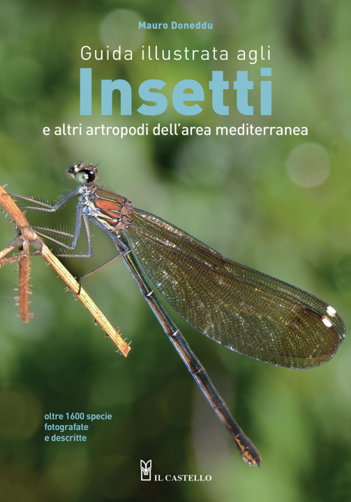 Carte Guida illustrata agli insetti e altri artropodi dell'area mediterranea Mauro Doneddu
