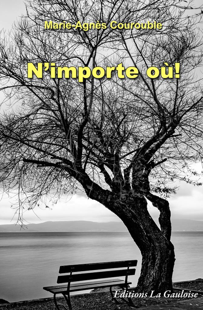Knjiga N'importe où Courouble