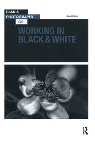 Boek Working in Black & White David Prakel