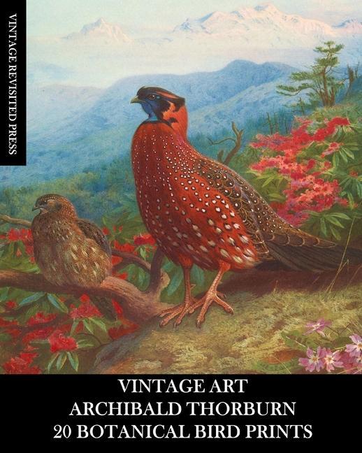 Book Vintage Art Press Vintage Revisited Press