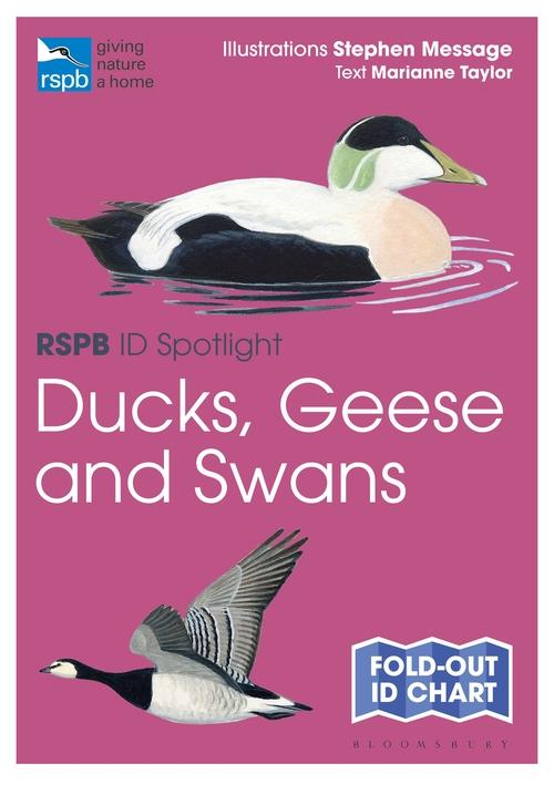 Книга RSPB ID Spotlight - Ducks, Geese and Swans Message Stephen Message