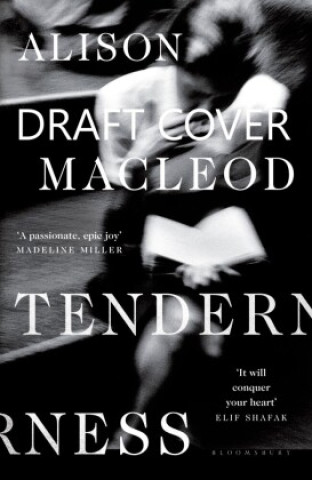 Libro Tenderness MACLEOD ALISON