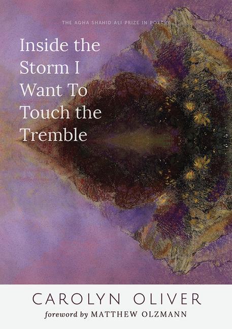 Boek Inside the Storm I Want to Touch the Tremble Carolyn Oliver