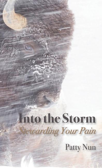 Knjiga Into The Storm Patty Nun
