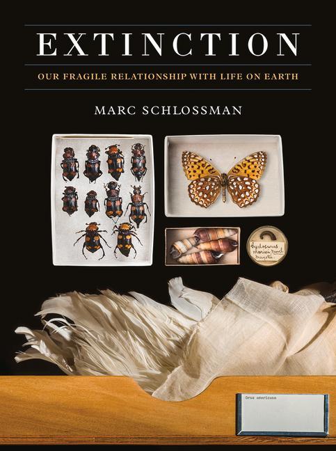 Knjiga Extinction Marc Schlossman