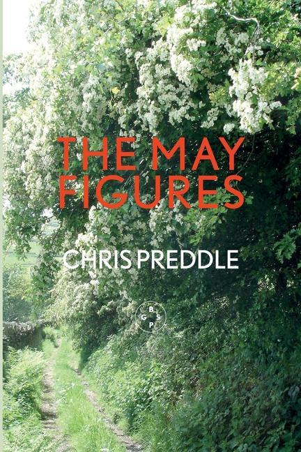 Knjiga May Figures Chris Preddle