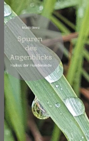 Book Spuren des Augenblicks Mario Stenz