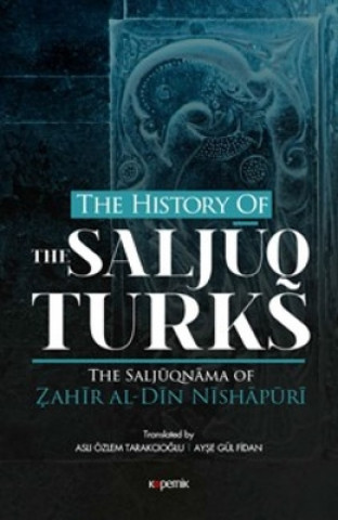 Boek History Of The Salcuq Turks Ayse Gul