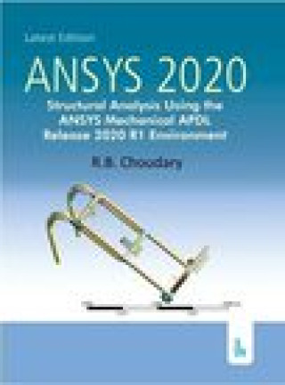 Kniha ANSYS 2020 CHOUDARY