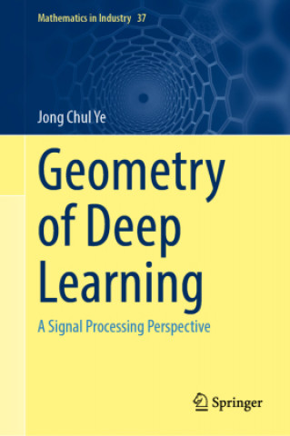 Könyv Geometry of Deep Learning 