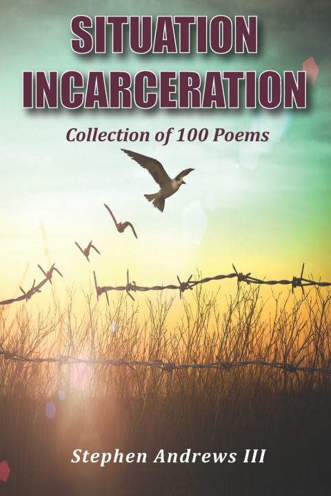 Knjiga Situation Incarceration Andrews Robbin Andrews