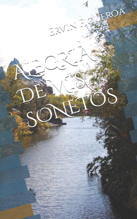 Книга Alegria de MIS Sonetos Figueroa Ervin A. Figueroa