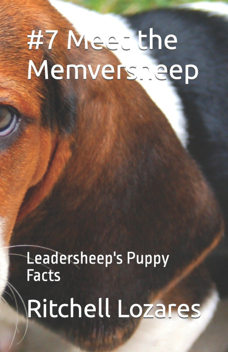 Knjiga #7 Meet the Memversheep Lozares Ritchell Canape Lozares