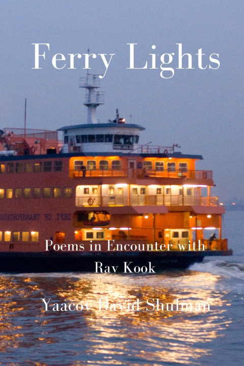 Knjiga Ferry Lights Shulman Yaacov David Shulman